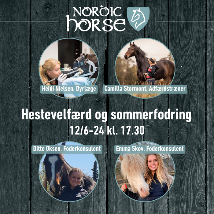 Nordic Horse aften 12/6 2024